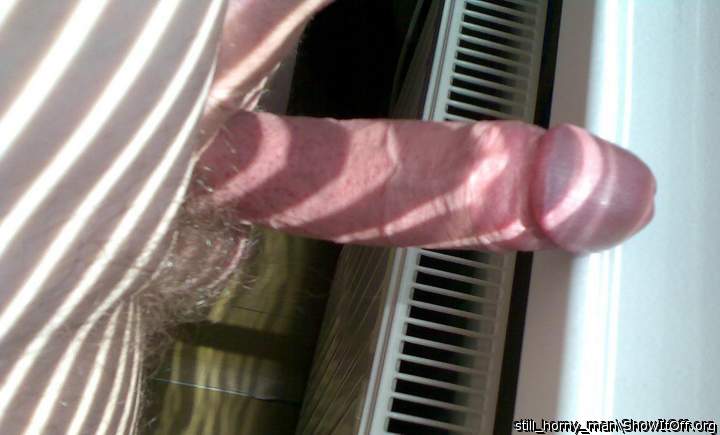 Photo of a cock from still_horny_man