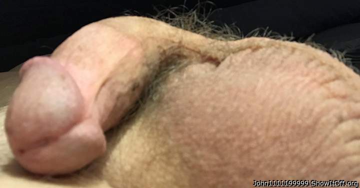 Photo of a bald-headed mouse from John1111199999