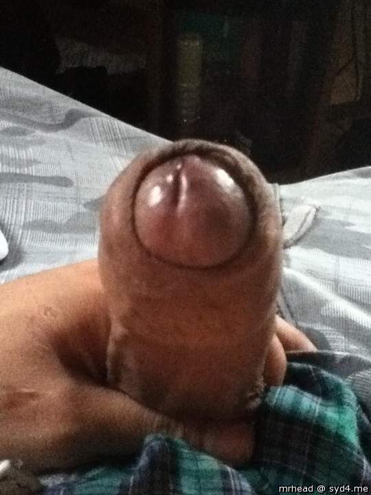 Love too ease that foreskin back with my lips 