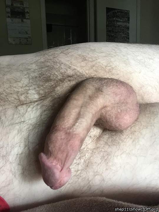 circumcised cocks are so suckable !