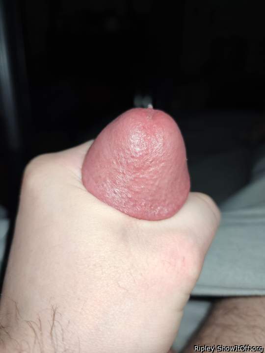 Photo of a boner from Ripley