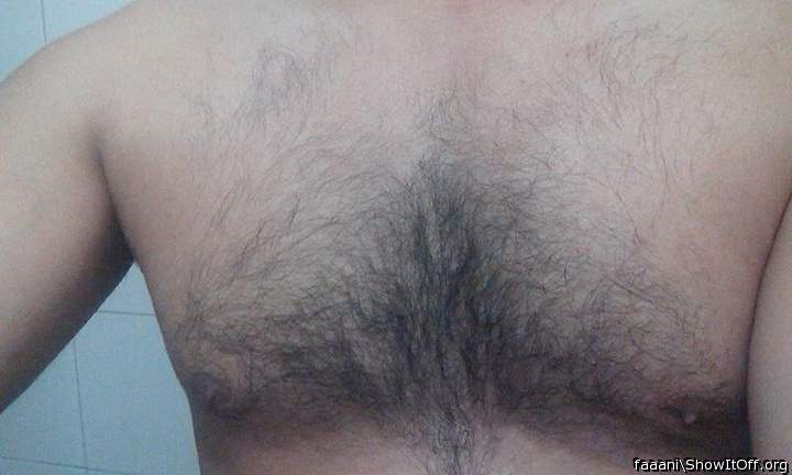 Impressive chest rug...ideal place to catch and hold flying 