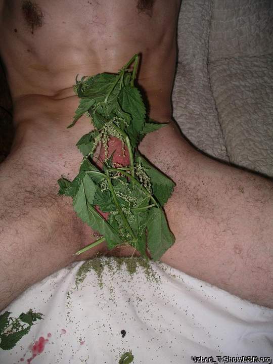 Nettle play