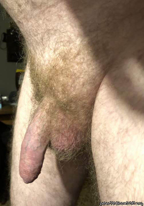 i love hairy dicke 