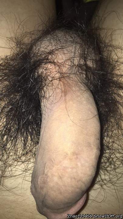 Photo of a thing from Zhao123456
