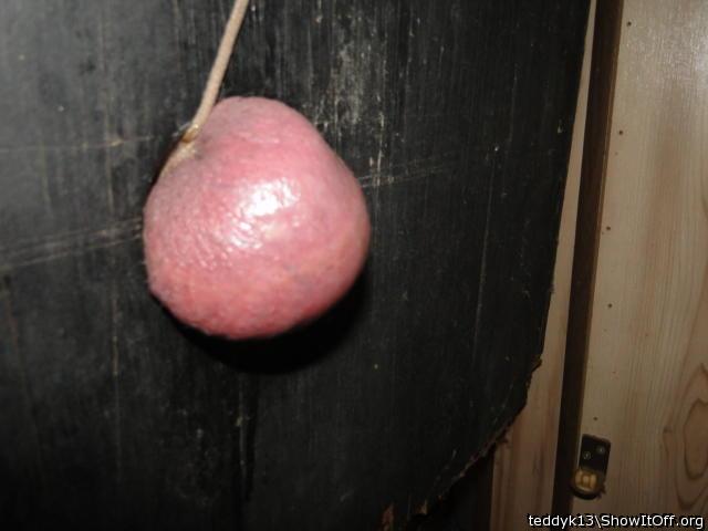 Testicles Photo from teddyk13