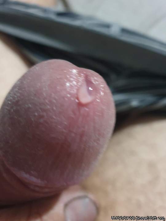 Photo of a stiffie from MYCOCK66