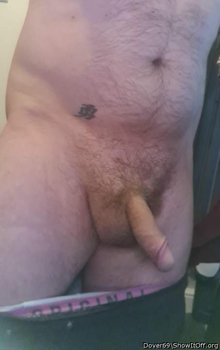 Photo of a weasel from Dover69