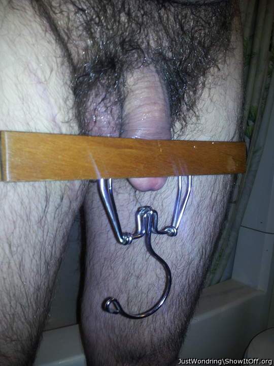 Photo of a pecker from JustWondring