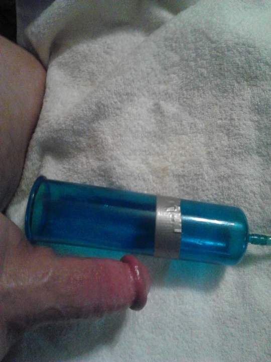 Photo of a horn from fish4free