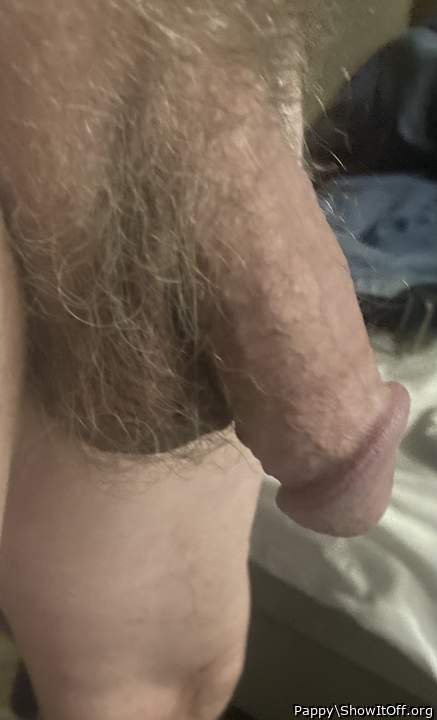 Photo of a dick from Pappy