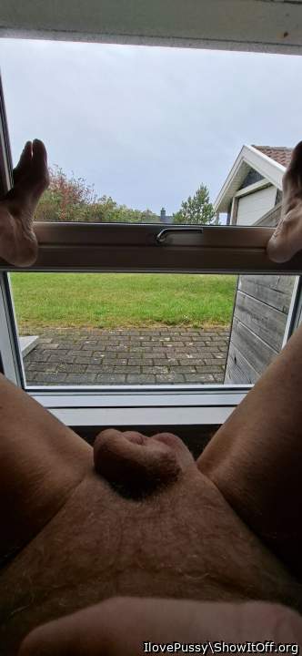 Photo of a dick from IlovePussy
