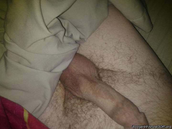 morning wood