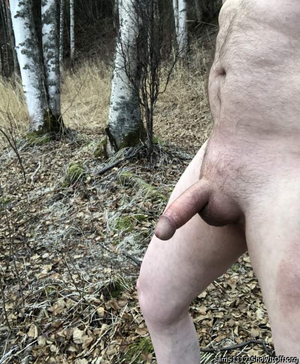 Photo of a pecker from sam51117