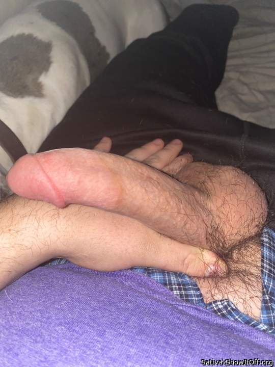 Photo of a penis from Sativa