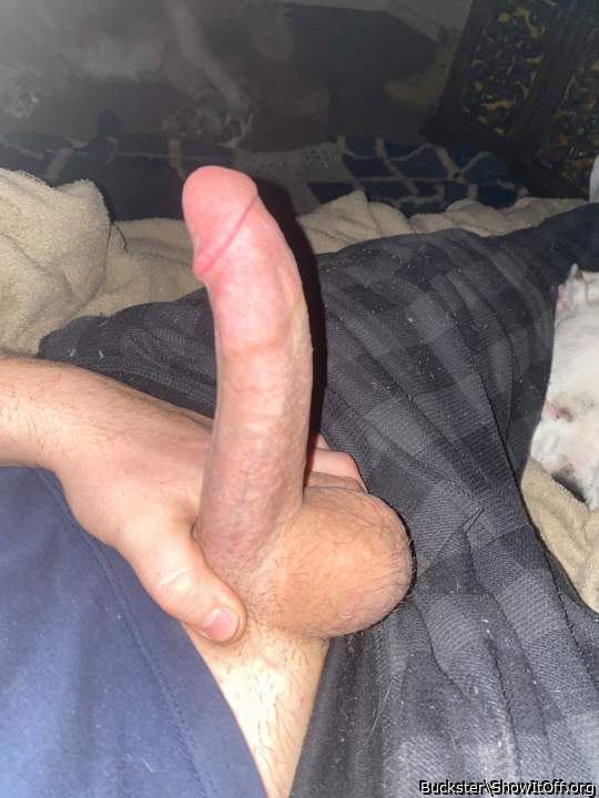 Nice piece of meat     