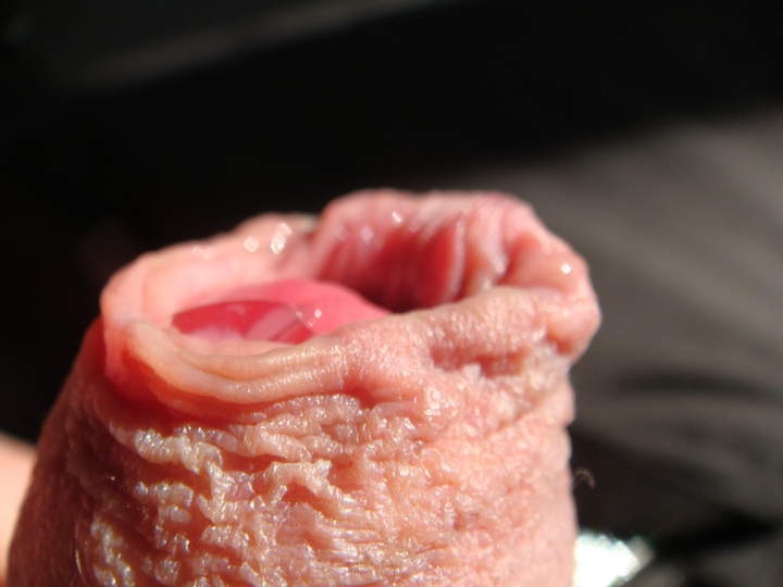 Photo of a wiener from sivad666
