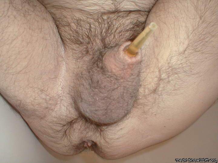 Testicles Photo from medir