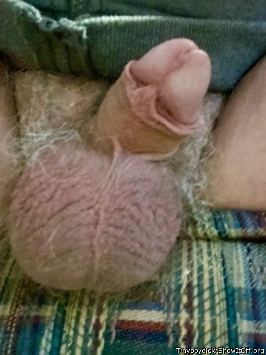 Little baby boy clit