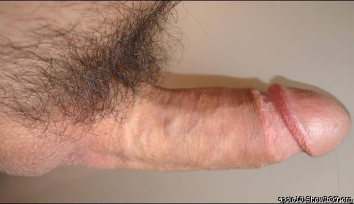 Photo of a bat from apolo10