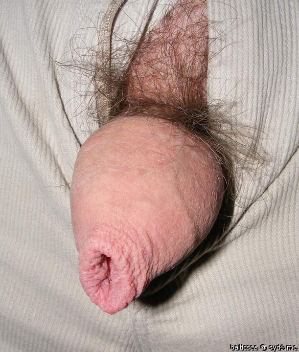 Photo of a meat stick from balticsea