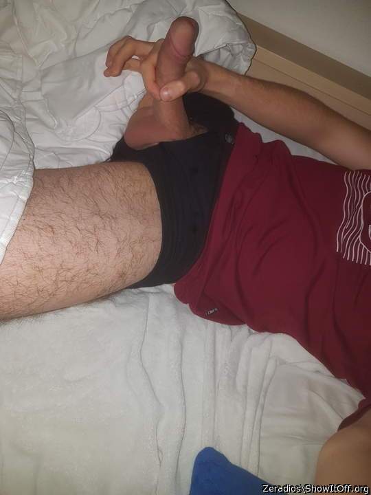 Photo of a third leg from Zeradios