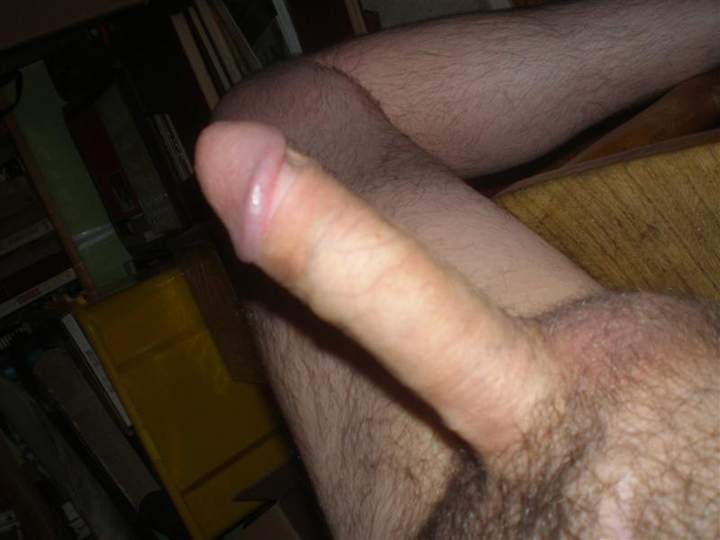 Photo of a weasel from botanic
