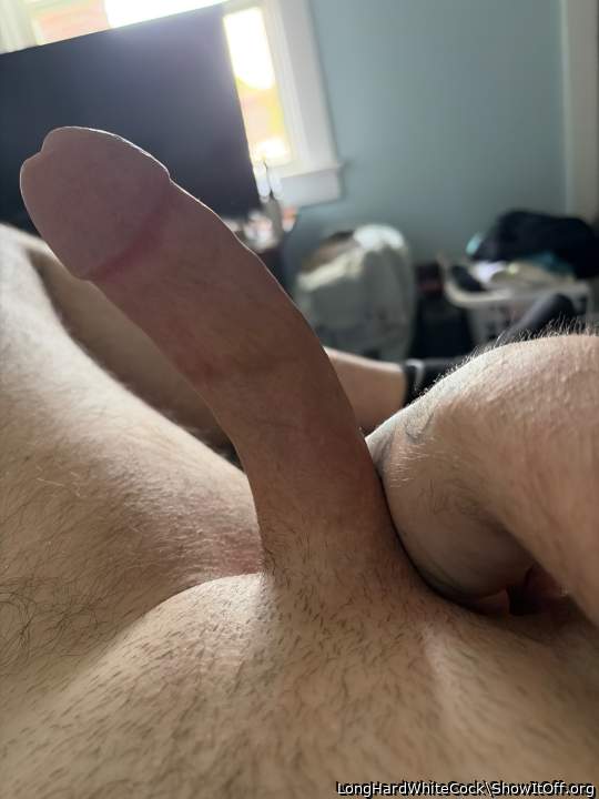 Photo of a weasel from LongHardWhiteCock