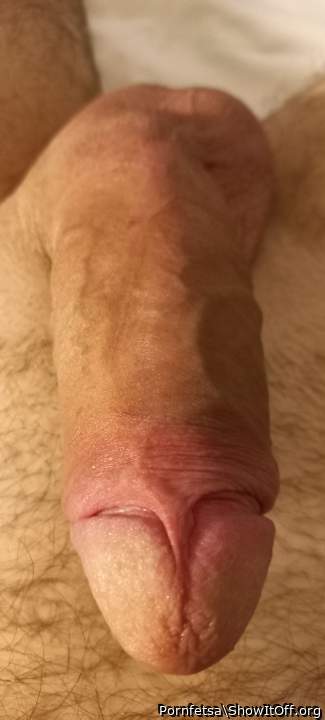 Photo of a bat from Pornfetsa