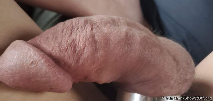 Photo of a middle leg from Mirameiah