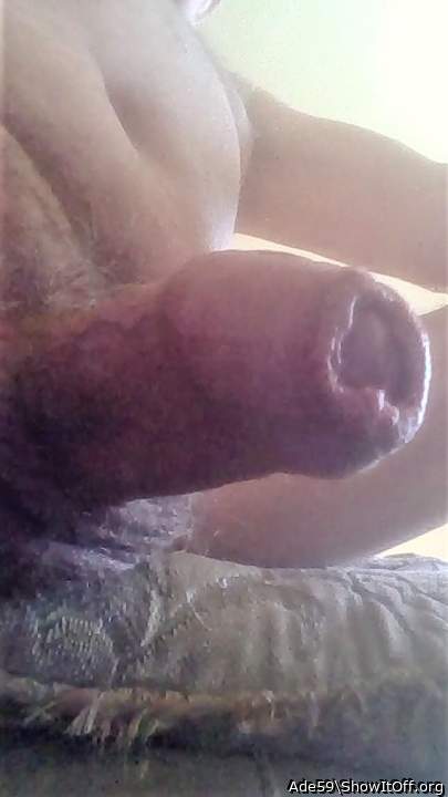 Photo of a python from Ade59