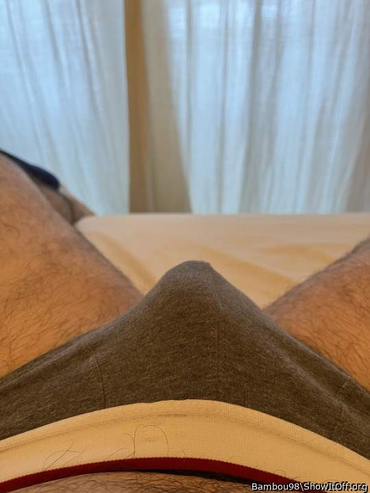 Photo of a snake from Bambou98