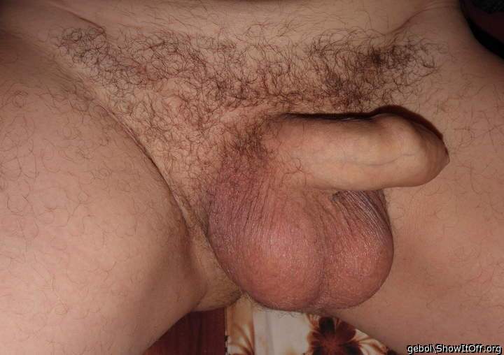 Testicles Photo from gebol