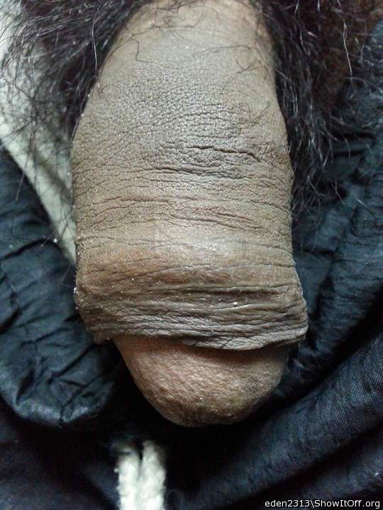 Photo of a middle leg from eden2313