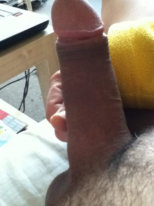 Photo of a hot dog from oralwerk