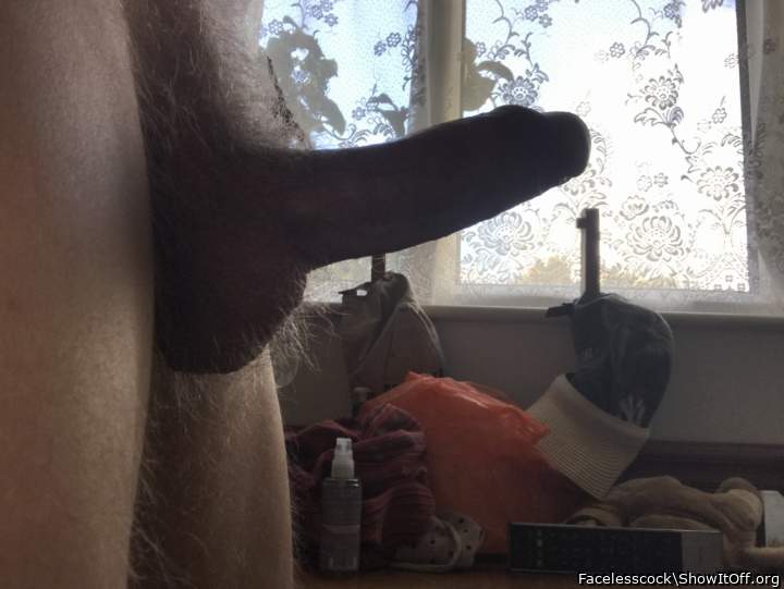 Photo of a weasel from Facelesscock