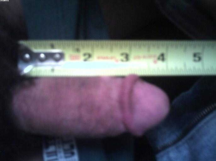 Photo of a weasel from sdalex