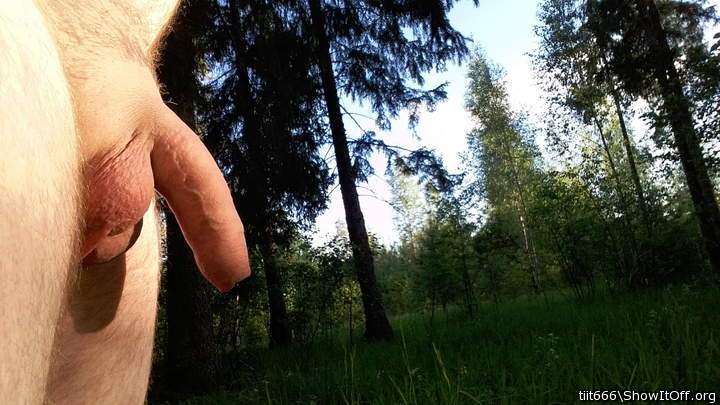 Photo of a love wand from tiit666