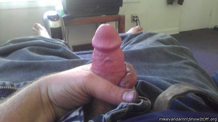 Photo of a cock from mikevandamn