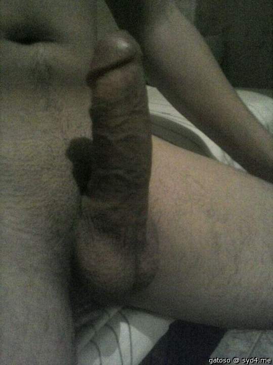 Photo of a love muscle from gatoso