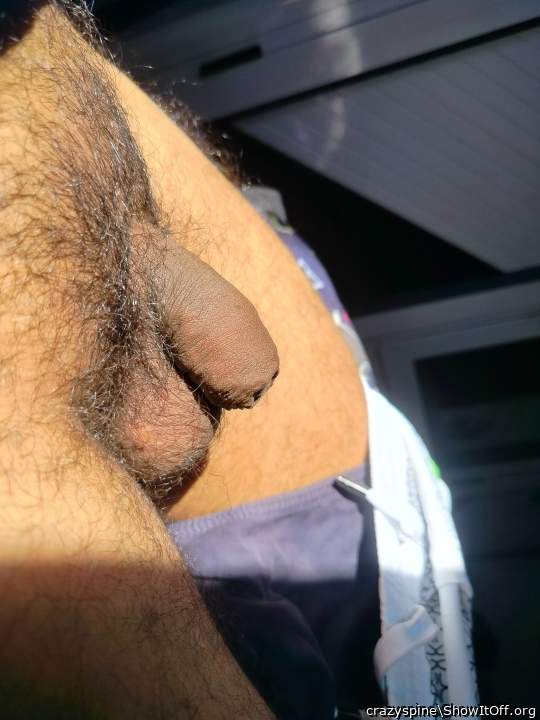 soft brown dick shrivel