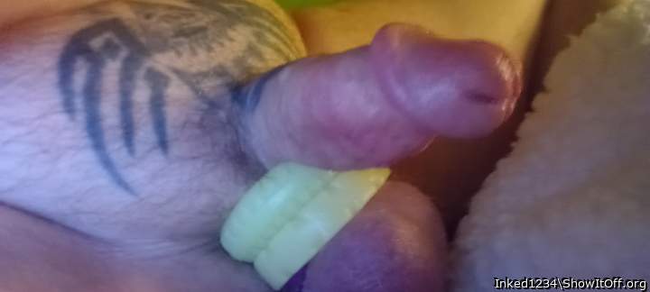 Photo of a bat from Inked1234