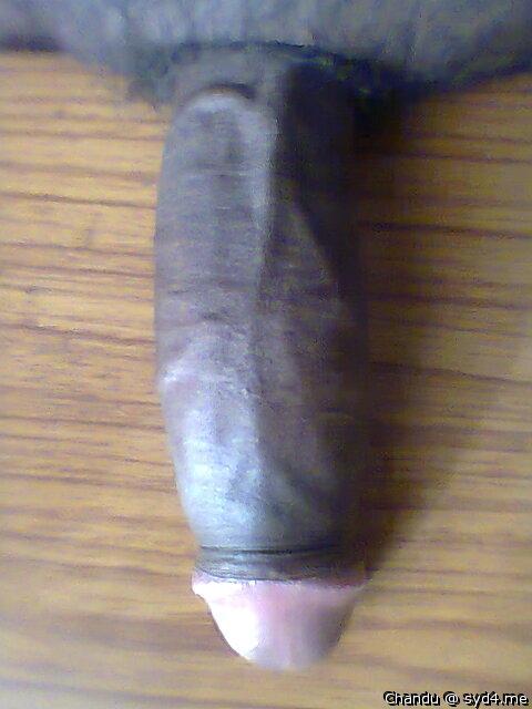 Photo of a hot dog from Chandu