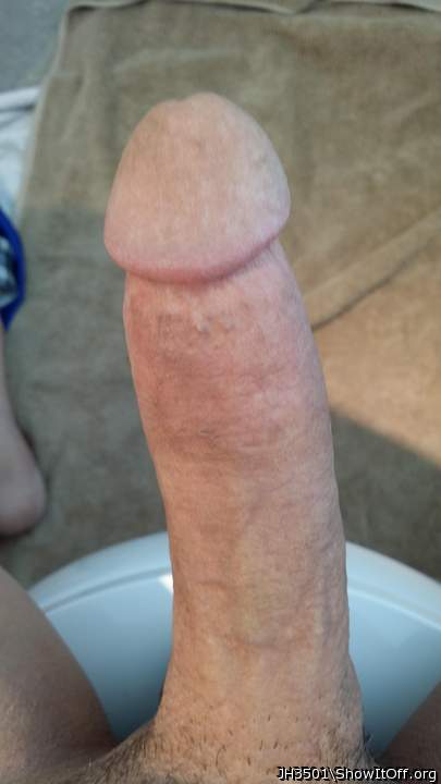 Photo of a pecker from JH3501