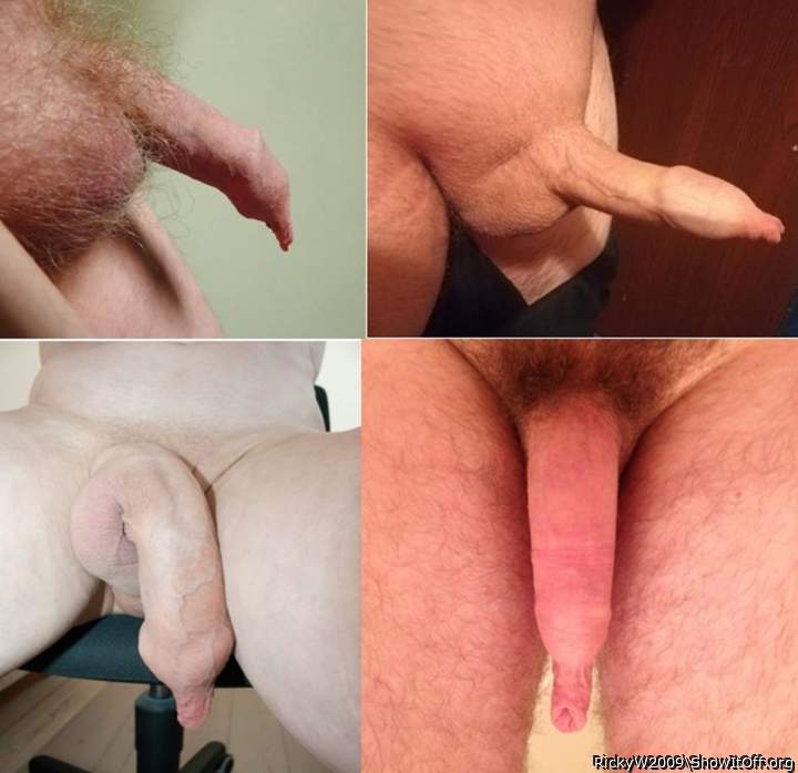 More lovely internet snouts