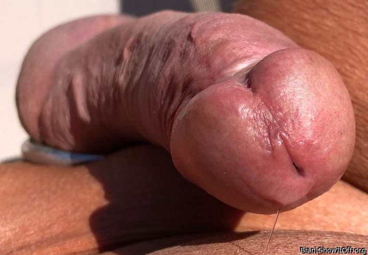 Photo of a cock from Bian