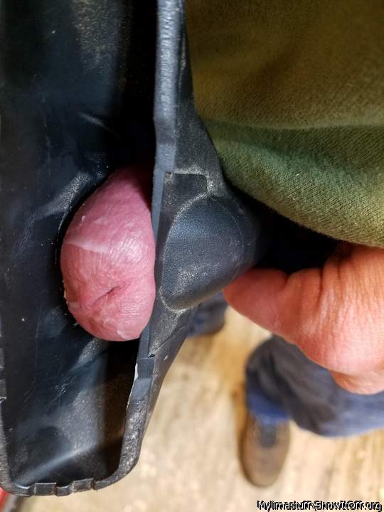 Photo of a bat from Mylimastuff