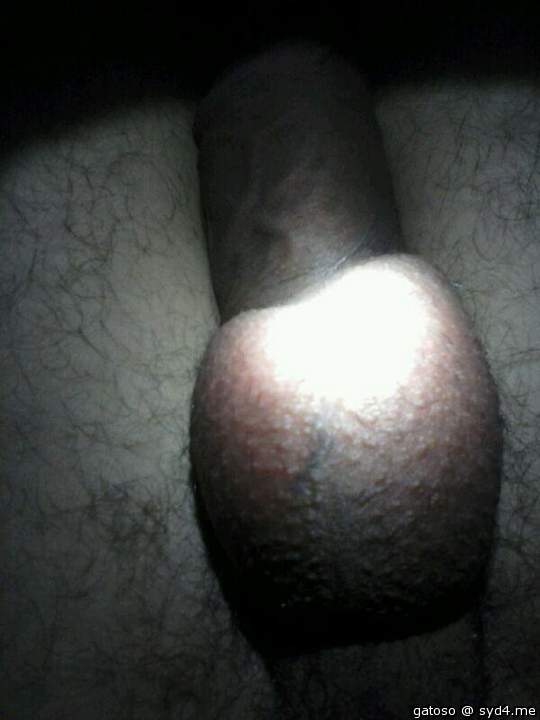 Photo of a third leg from gatoso