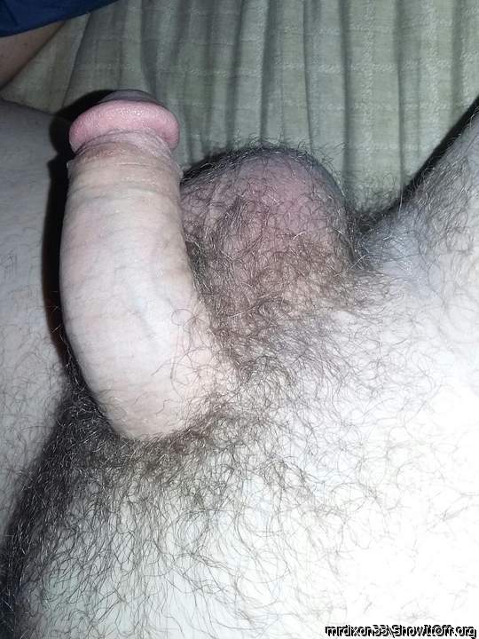 Photo of a python from Mrdixon33