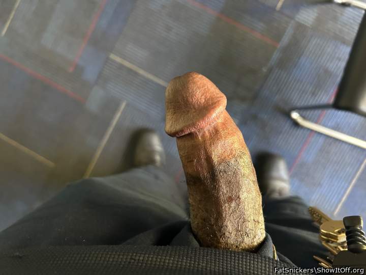 Photo of a ram rod from FatSnickers